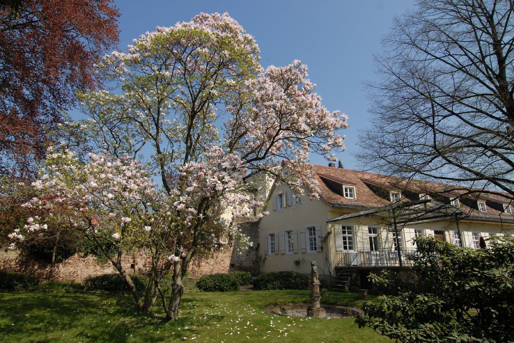 דיידסהאם Hotel Ketschauer Hof מראה חיצוני תמונה